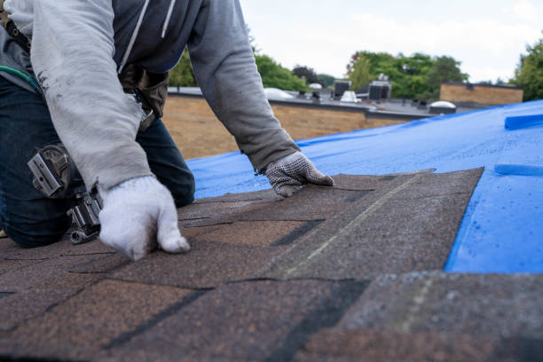 Roof Gutter Cleaning in Hobart, WA