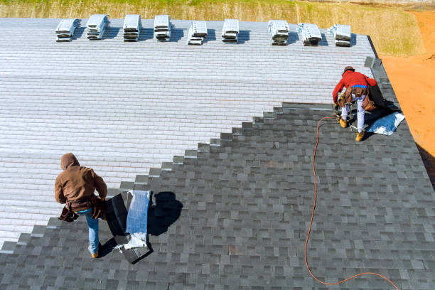 Best Roof Gutter Cleaning  in Hobart, WA