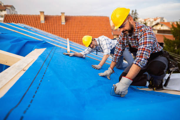 Quick and Trustworthy Emergency Roof Repair Services in Hobart, WA