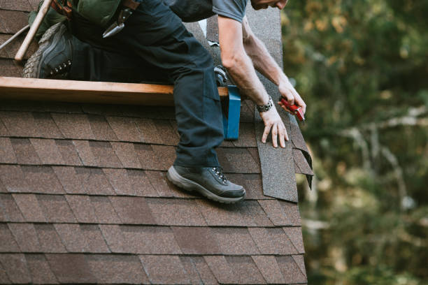 Best Roof Gutter Cleaning  in Hobart, WA